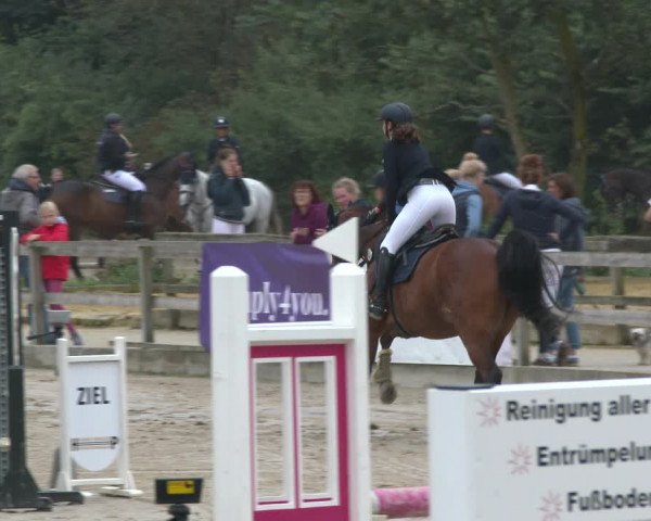 Reitturnier Münster-Nienberge 2020