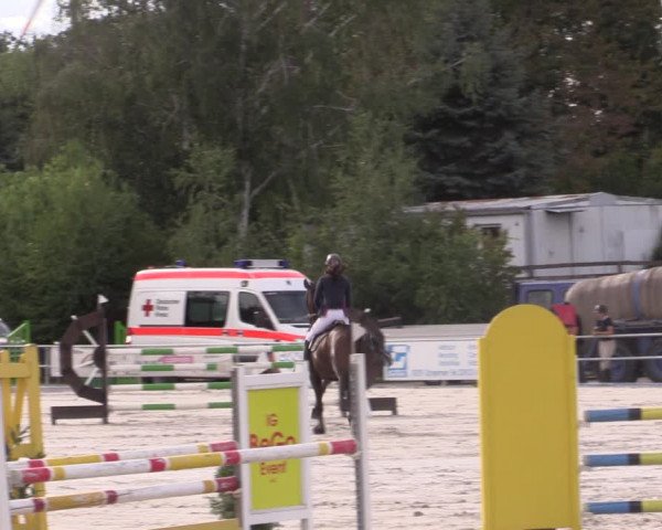Reitturnier Pietzpuhl 2020
