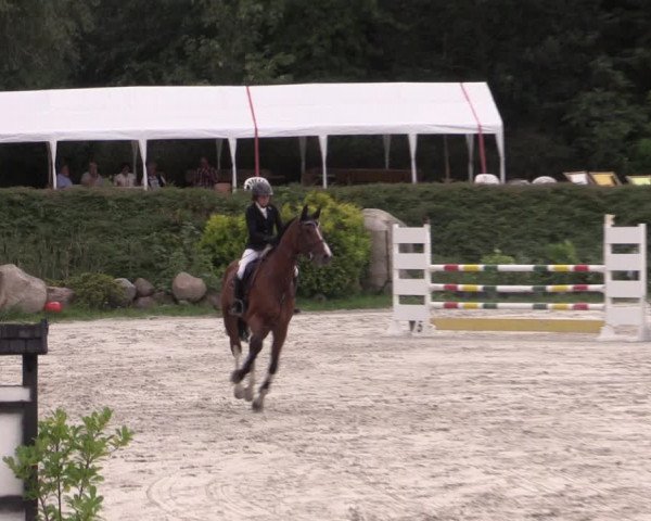 Reitturnier Pietzpuhl 2020