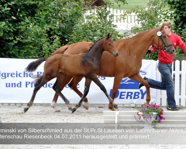 Dressurpferd A. Surminski (Westfale, 2011, von Silberschmied)