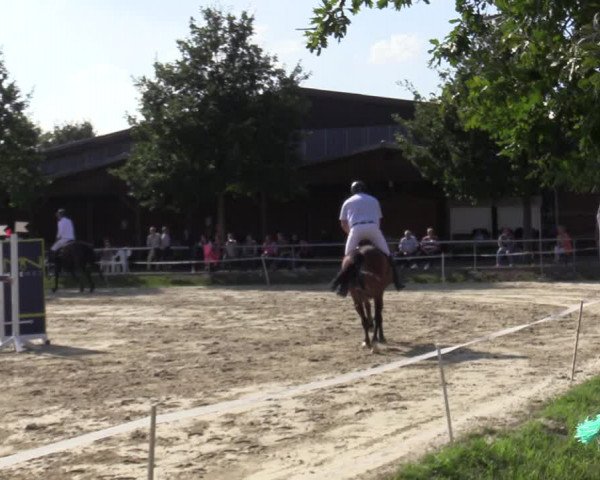 Reitturnier Ascheberg 2020