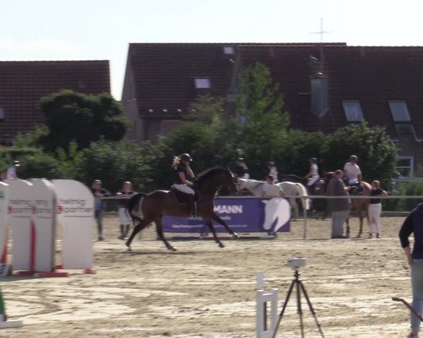 Reitturnier Ascheberg 2020