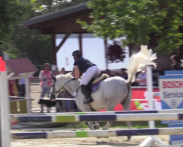 Reitturnier Ascheberg 2020