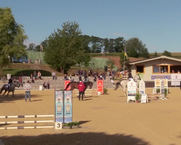 Reitturnier Duderstadt 2020