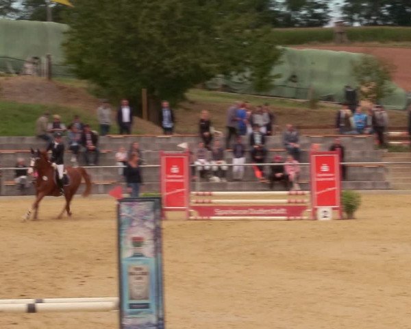 Reitturnier Duderstadt 2020