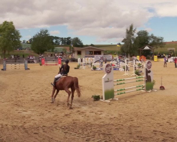 Reitturnier Duderstadt 2020