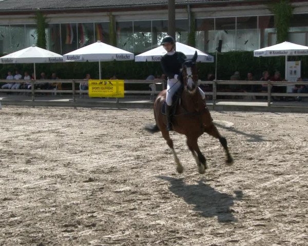 Reitturnier Münster-Nienberge 2020