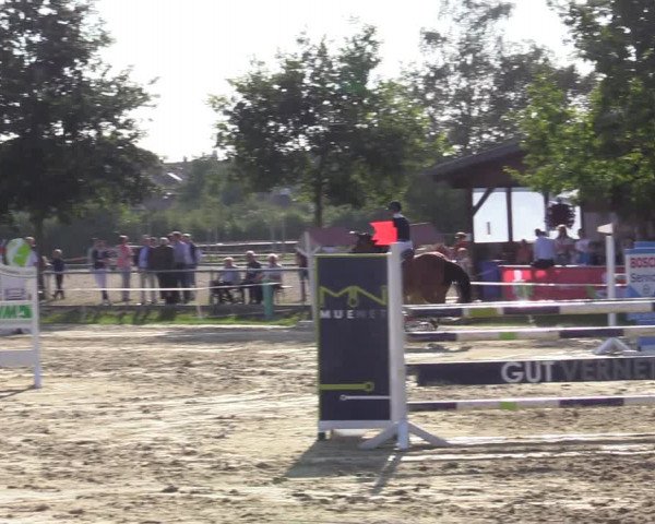 Reitturnier Ascheberg 2020