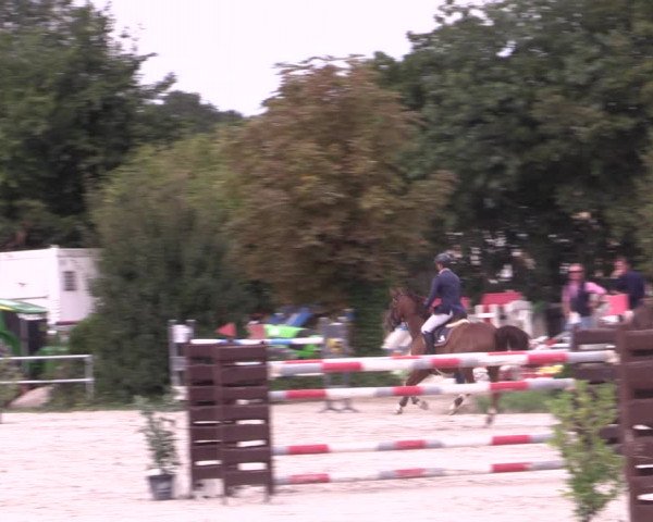 Reitturnier Pietzpuhl 2020