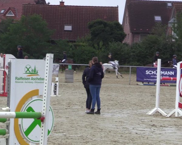 Reitturnier Ascheberg 2020