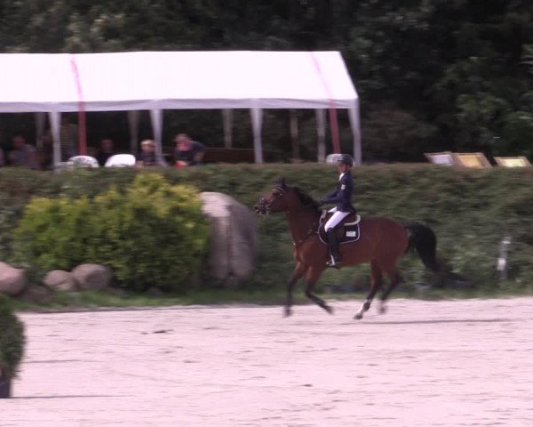 Reitturnier Pietzpuhl 2020