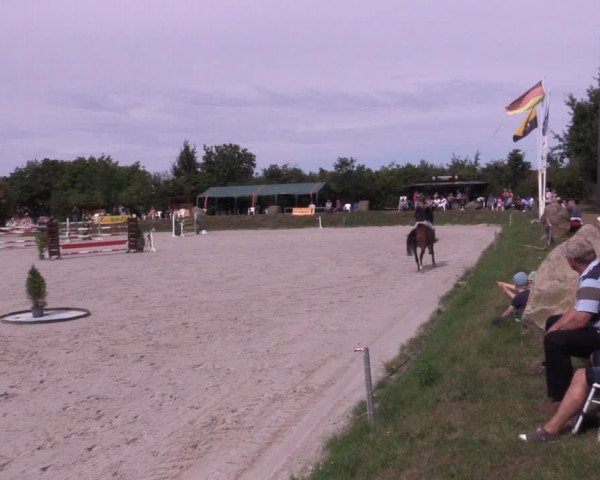 Reitturnier Pietzpuhl 2020
