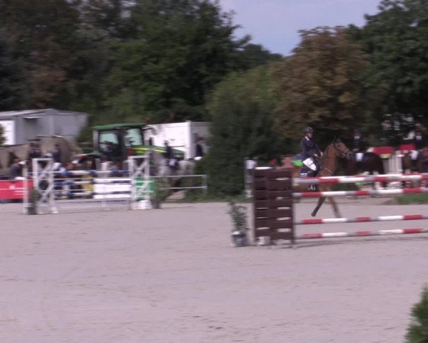 Reitturnier Pietzpuhl 2020