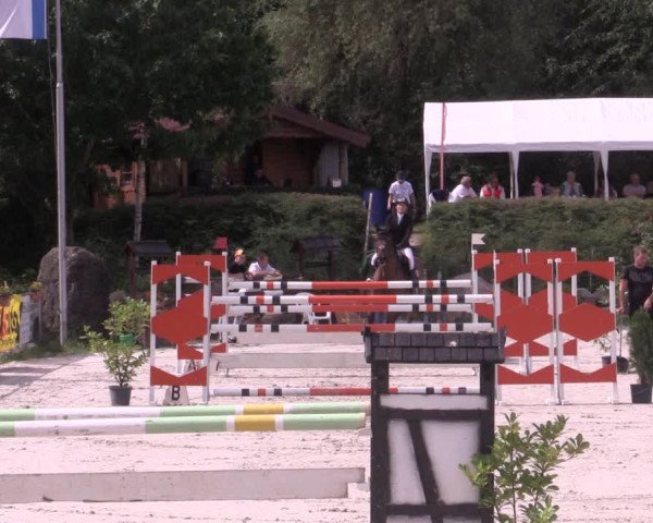 Reitturnier Pietzpuhl 2020
