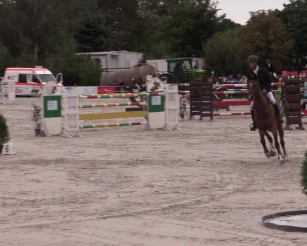 Reitturnier Pietzpuhl 2020