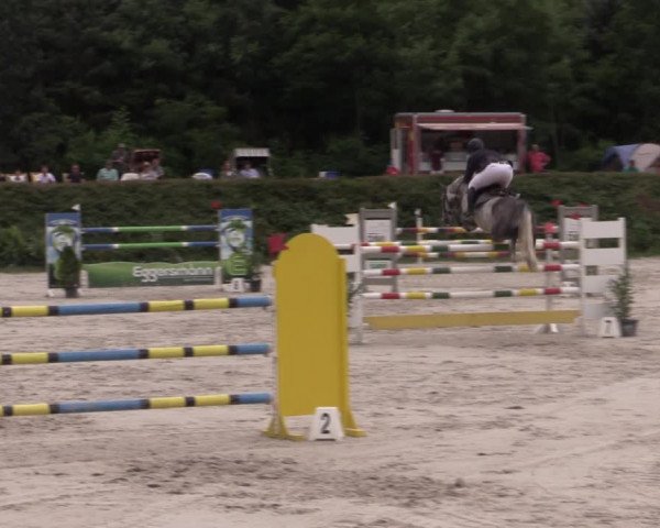 Reitturnier Pietzpuhl 2020