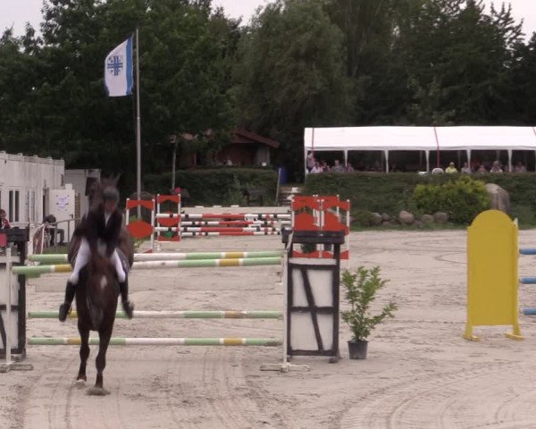 Reitturnier Pietzpuhl 2020