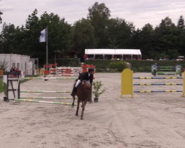 Reitturnier Pietzpuhl 2020