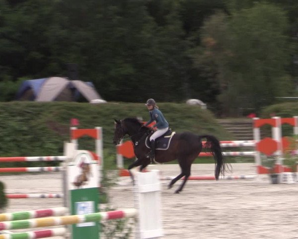 Reitturnier Pietzpuhl 2020