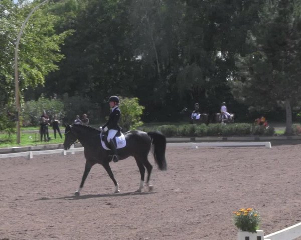 Reitturnier Dallgow 2020