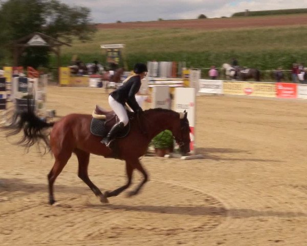 Reitturnier Duderstadt 2020