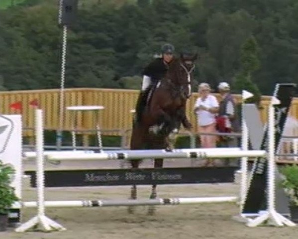 broodmare Ascona (Hanoverian, 2003, from Acorado I)