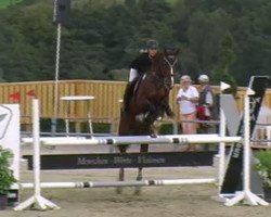 broodmare Ascona (Hanoverian, 2003, from Acorado I)