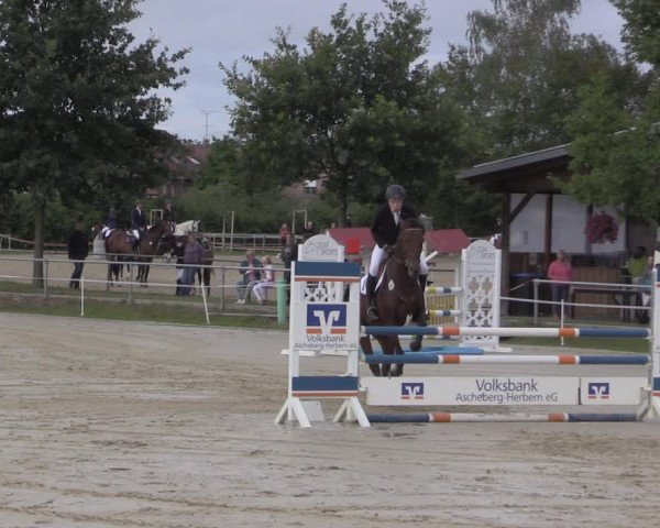 Reitturnier Ascheberg 2020