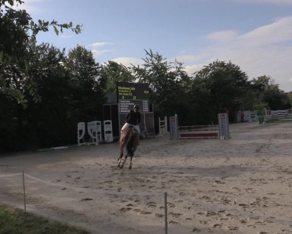 Reitturnier Ascheberg 2020