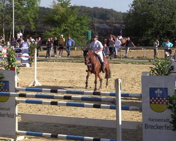 Reitturnier Bühren-Breckerfeld 2020