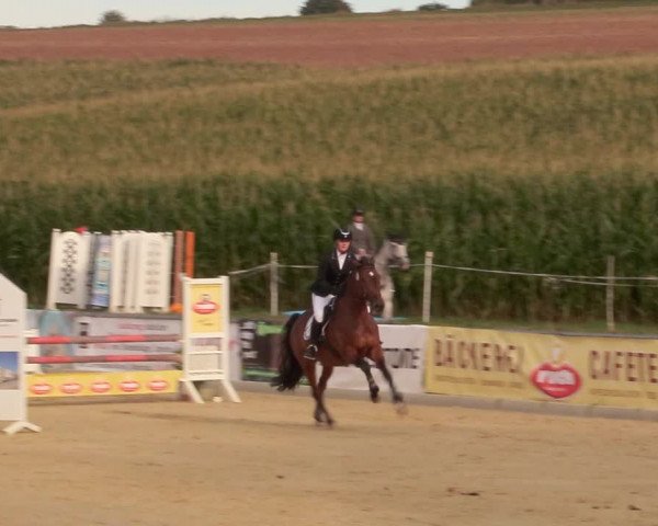 Reitturnier Duderstadt 2020