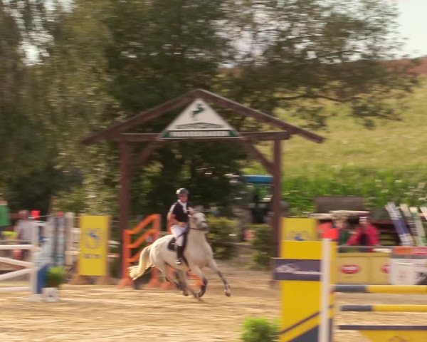 Reitturnier Duderstadt 2020