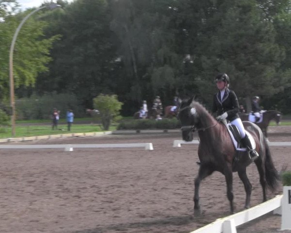 Reitturnier Dallgow 2020