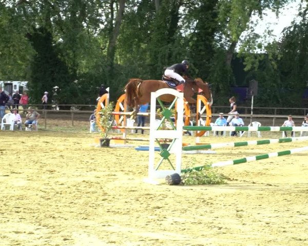 Reitturnier Willich-Anrath-Neersen 2020