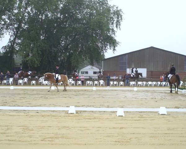 Reitturnier Willich-Anrath-Neersen 2020