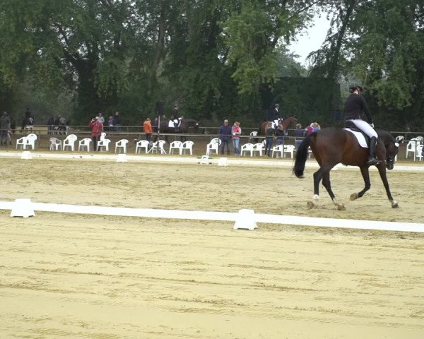 Reitturnier Willich-Anrath-Neersen 2020