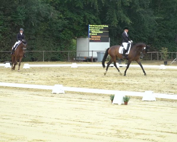 Reitturnier Willich-Anrath-Neersen 2020