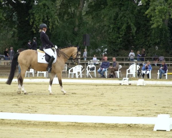 Reitturnier Willich-Anrath-Neersen 2020