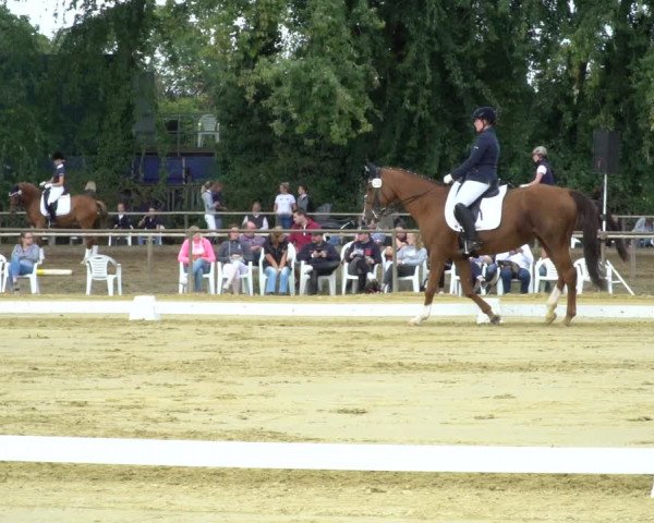 Reitturnier Willich-Anrath-Neersen 2020