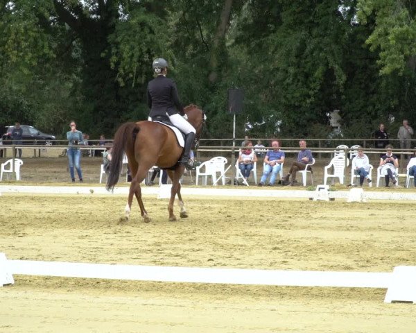Reitturnier Willich-Anrath-Neersen 2020