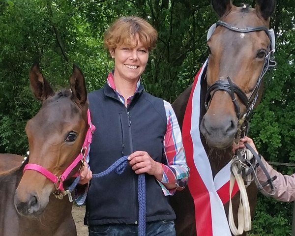 broodmare La Novelle (Oldenburg, 2002, from Love and Jump)