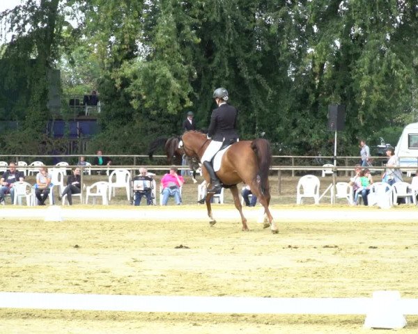 Reitturnier Willich-Anrath-Neersen 2020