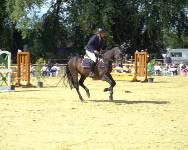 Reitturnier Willich-Anrath-Neersen 2020