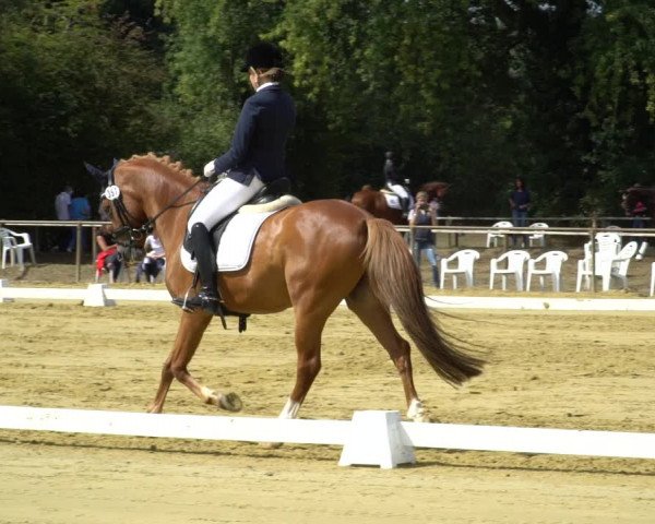 Reitturnier Willich-Anrath-Neersen 2020