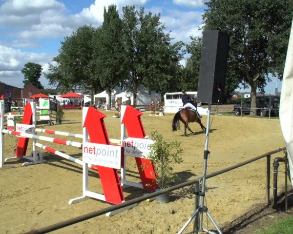 Reitturnier Willich-Anrath-Neersen 2020
