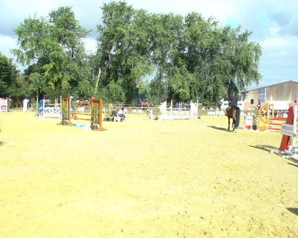 Reitturnier Willich-Anrath-Neersen 2020