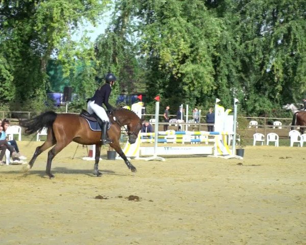 Reitturnier Willich-Anrath-Neersen 2020