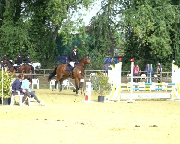 Reitturnier Willich-Anrath-Neersen 2020