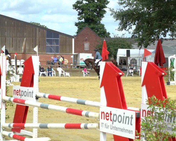 Reitturnier Willich-Anrath-Neersen 2020