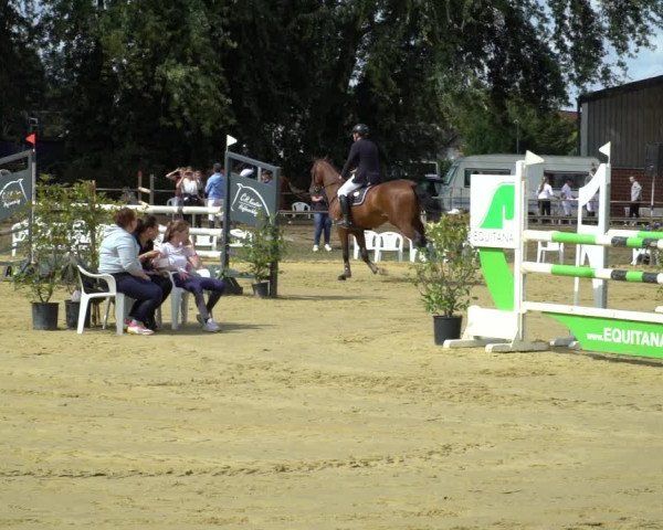 Reitturnier Willich-Anrath-Neersen 2020